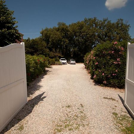 Chambres D'Hotes Le Mas Du Bijou Bleu Puget-sur Argens Luaran gambar