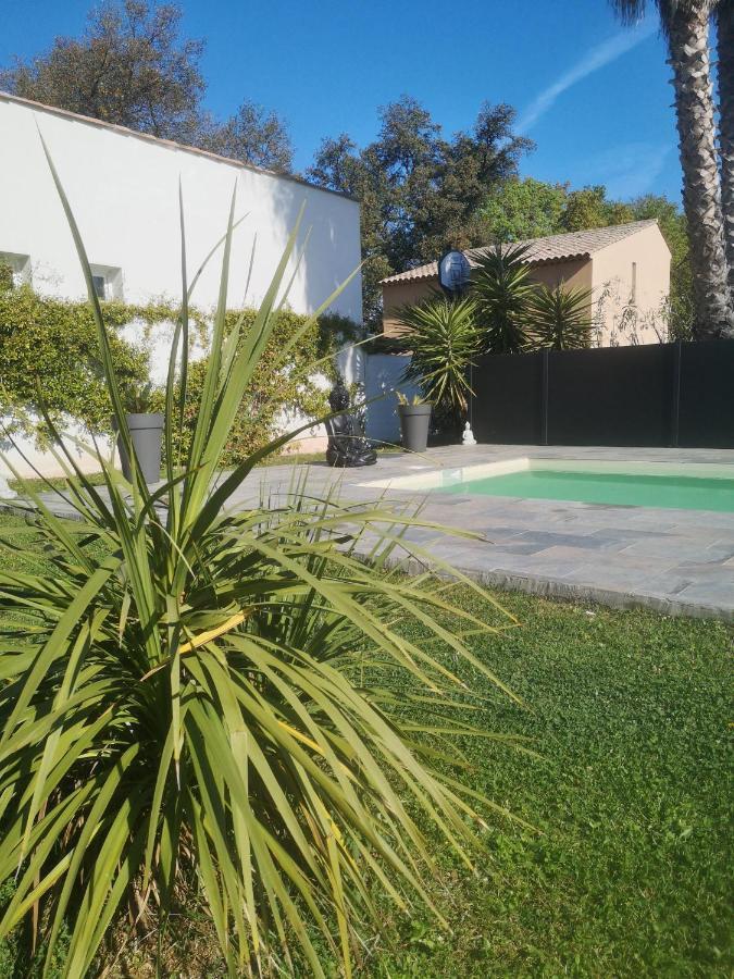 Chambres D'Hotes Le Mas Du Bijou Bleu Puget-sur Argens Luaran gambar