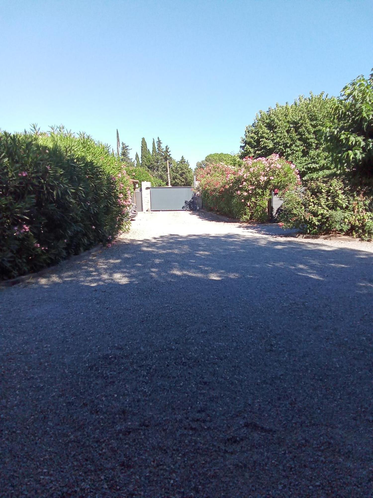 Chambres D'Hotes Le Mas Du Bijou Bleu Puget-sur Argens Luaran gambar