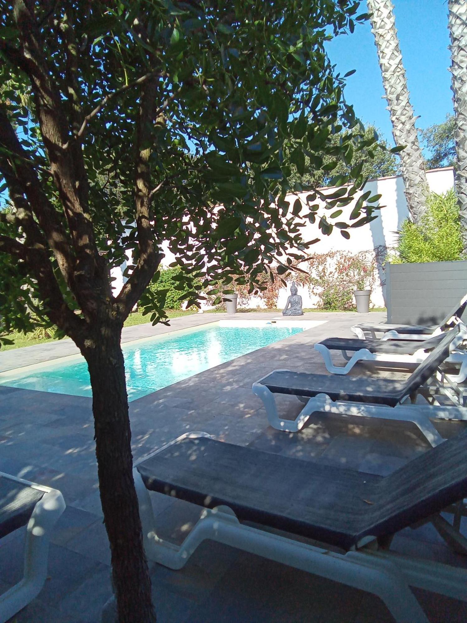 Chambres D'Hotes Le Mas Du Bijou Bleu Puget-sur Argens Luaran gambar