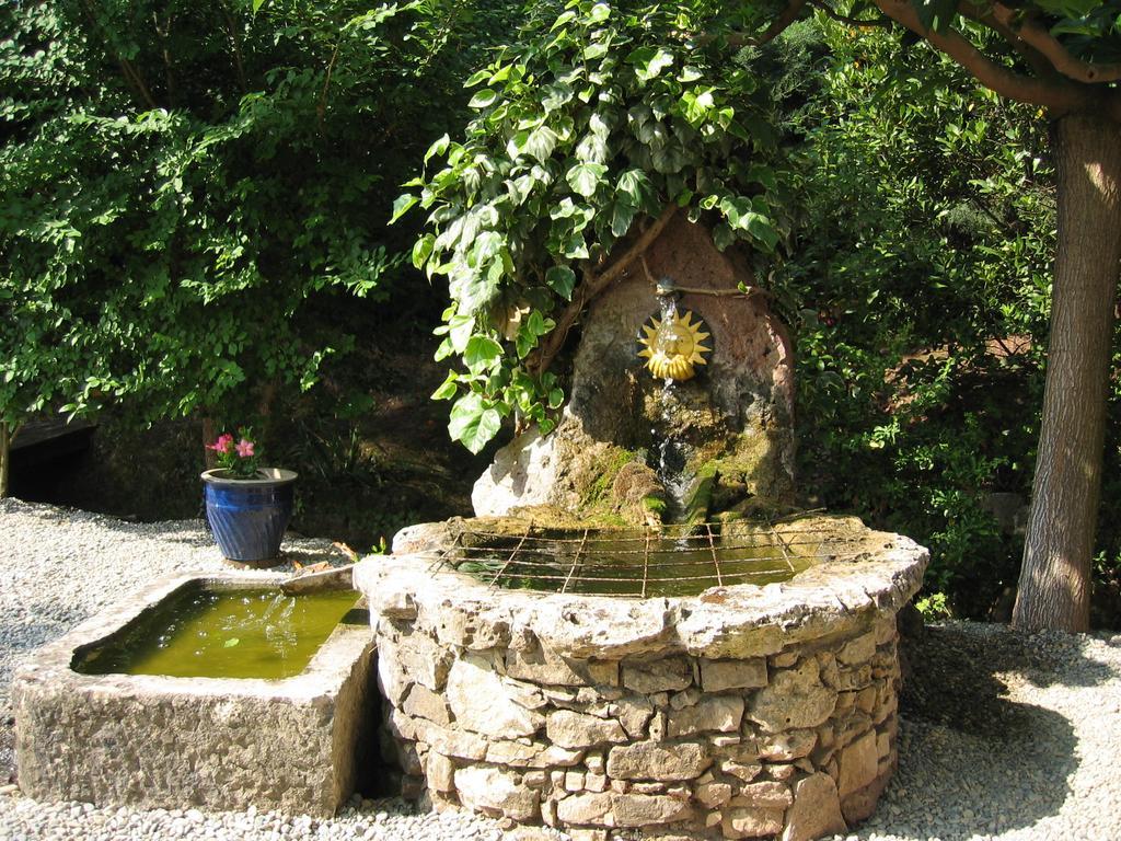 Chambres D'Hotes Le Mas Du Bijou Bleu Puget-sur Argens Luaran gambar